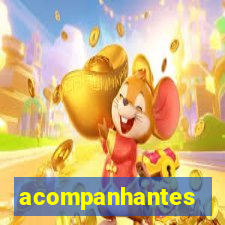 acompanhantes gordinhas porto alegre